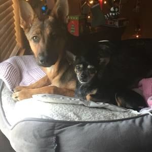 Meet your Posher, Mel